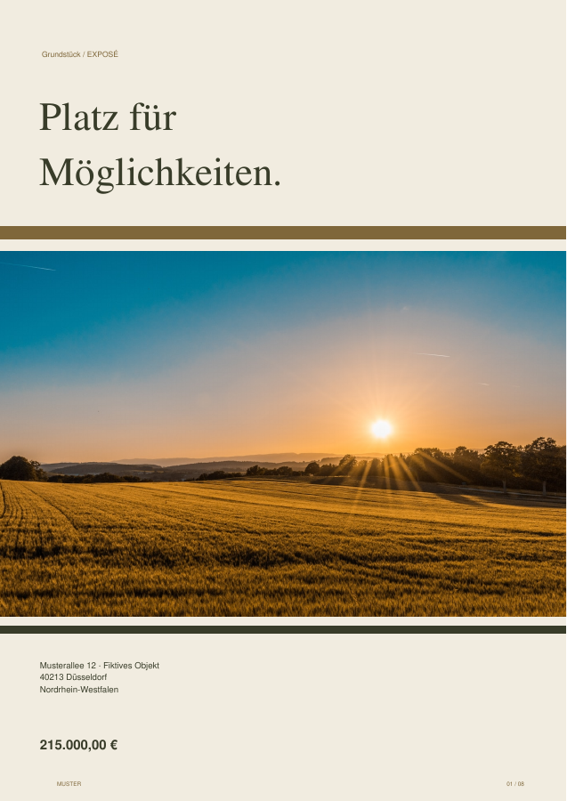 Gerenderte Titelseite: Terra